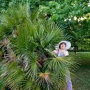 ���� ����, �������, 62 ���� - ��������� 28 ���� 2022 � ������ ���� ����������