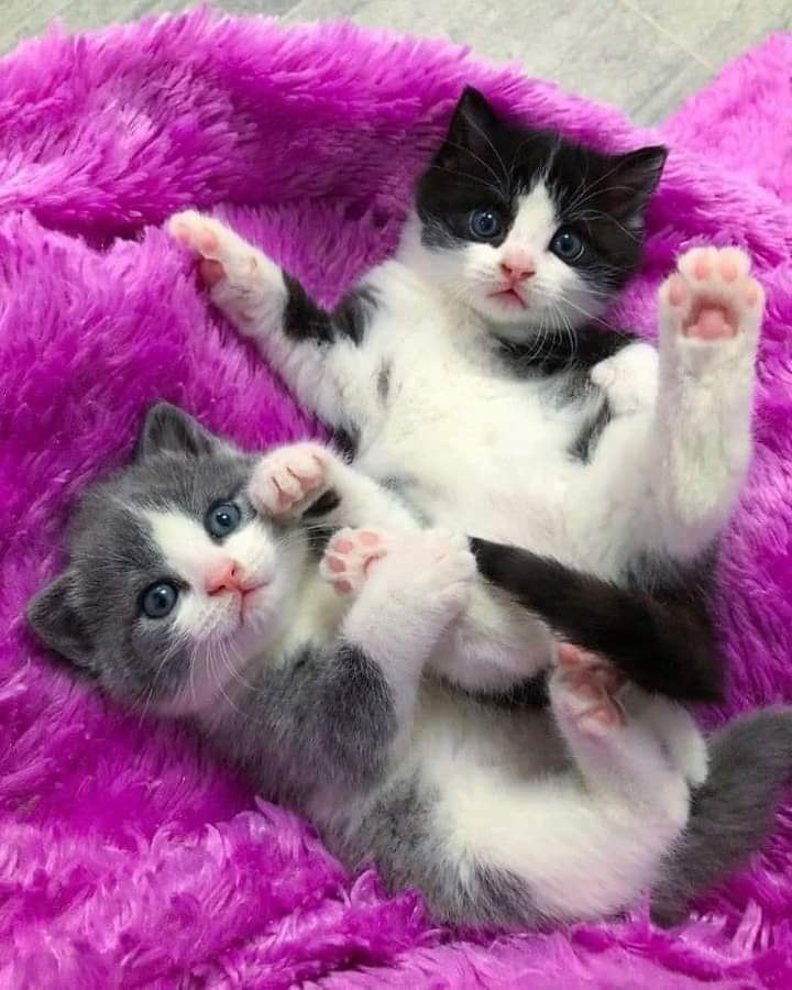:)  ! )))