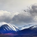 ���� ������, �������, 70 ��� - ��������� 5 �������� 2022 � ������ ���� ����������