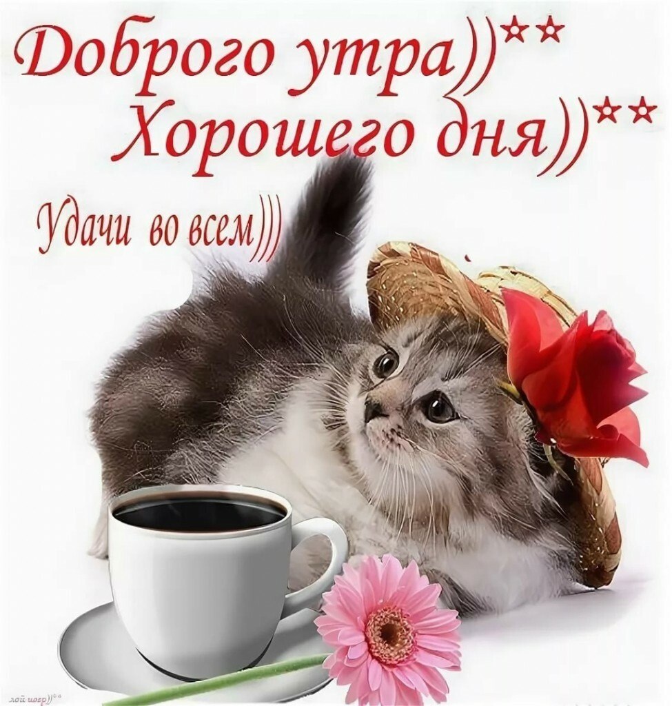   - 9  2022  09:30