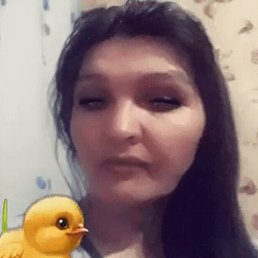  , , 53 