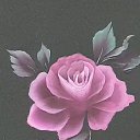  , , 49  -  1  2023    