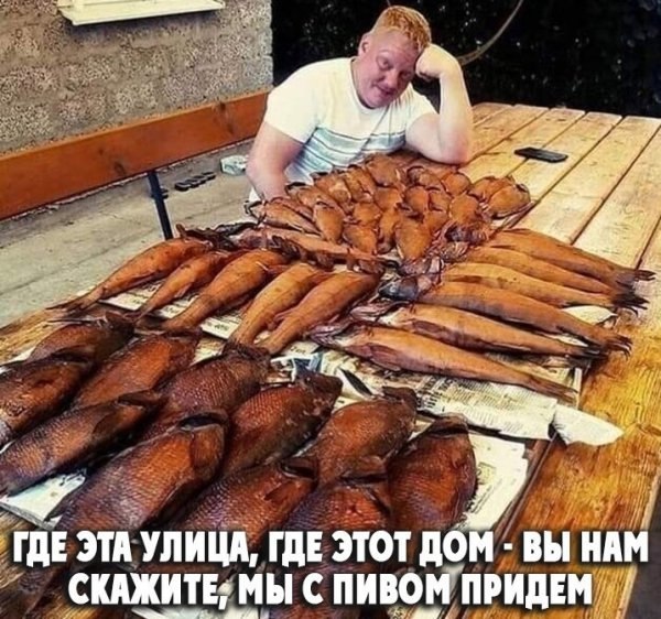  - 7  2022  06:41
