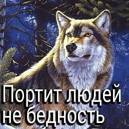 , , 28 