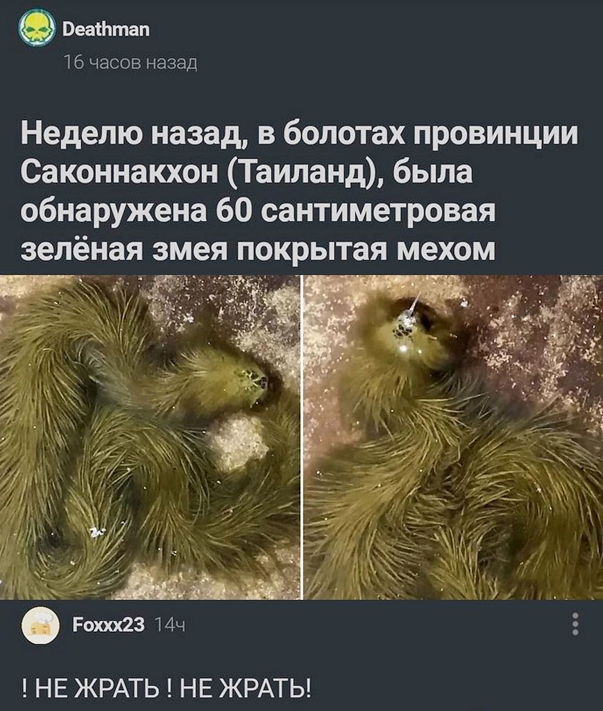 ������- ��������� ��� ��� �����. ����� ��������. ��� ��������� �������� �� ����.��������������