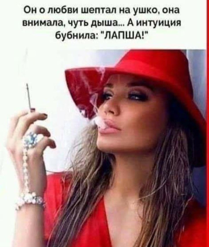  - 20  2022  11:33