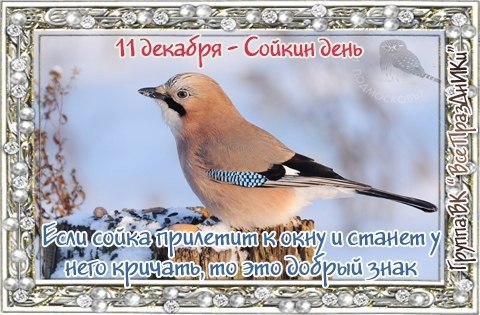   ,    . - 10  2022  22:05