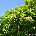 ���� �������, ������, 78 ��� - ��������� 21 ������� 2022 � ������ ���� ����������