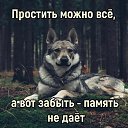 ���� ����, �����, 57 ��� - ��������� 5 ������ 2022