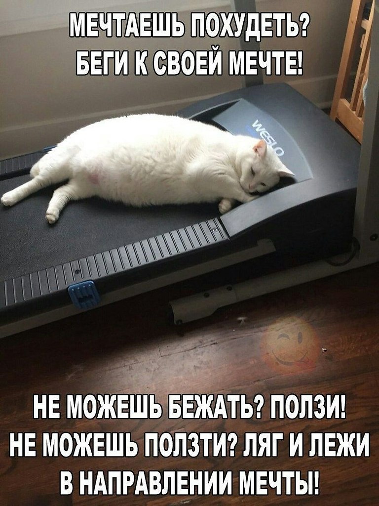    - 13  2022  03:39