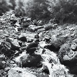 ������, �����-���������, 38 ���