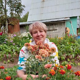 �������, ������, 58 ���