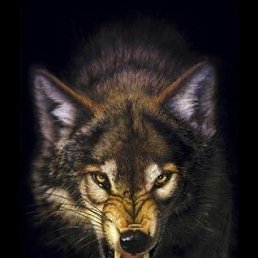 ���� Jackson, �����-���������, 44 ���� - ��������� 12 ������� 2023