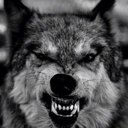 ���� �����, ������, 41 ��� - ��������� 21 ���� 2023