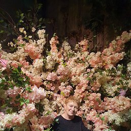 ������, �����-���������, 65 ���