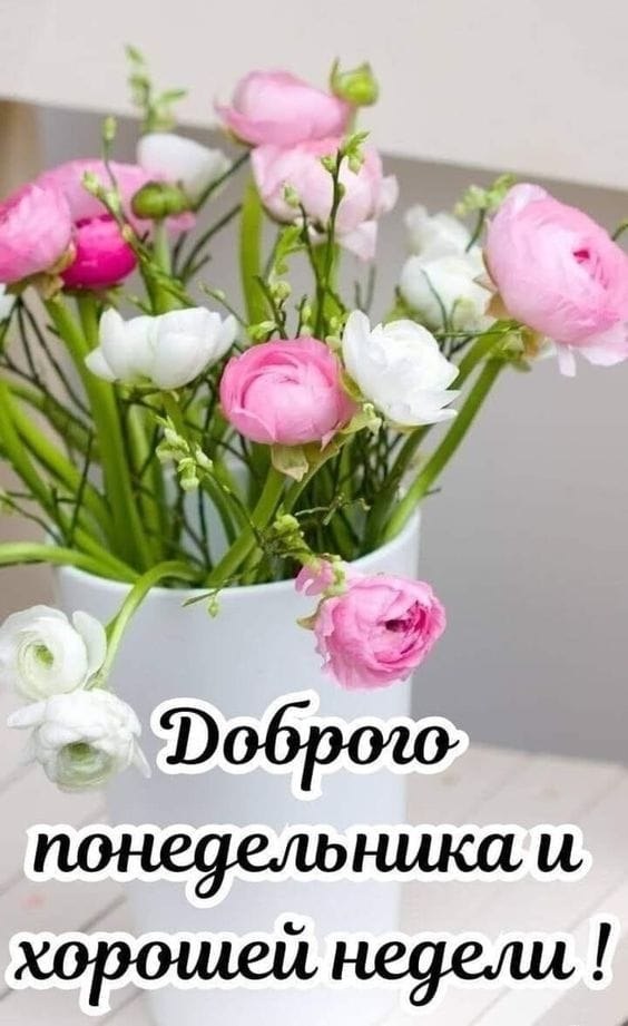  - 17  2023  10:08
