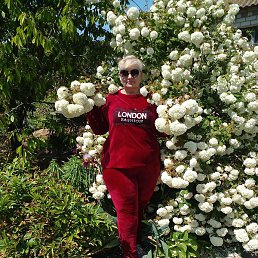 �����, �������, 58 ���