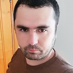 �����, ������, 41 ���