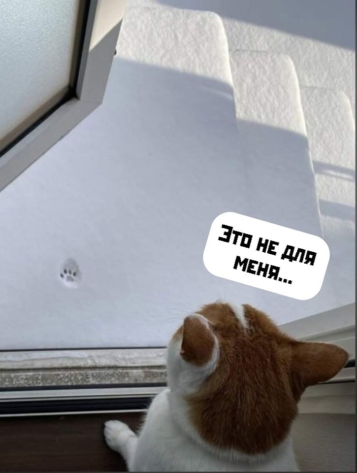       - 5  2023  22:16