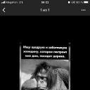  , -, 60  -  14  2023    