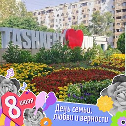 ��������, ������-��-����, 61 ���