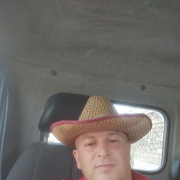 ���� ������, ����, 44 ���� - ��������� 29 ������� 2023