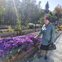 ���� ������, �����, 73 ���� - ��������� 8 ������� 2023 � ������ ���� ����������