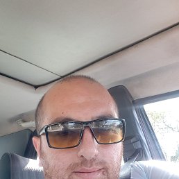 ������, ���������, 41 ���