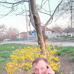 ����, �������, 64 ����