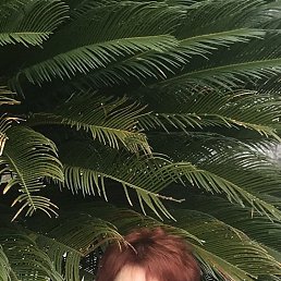 ���� �����, ���������, 49 ��� - ��������� 20 �������� 2023