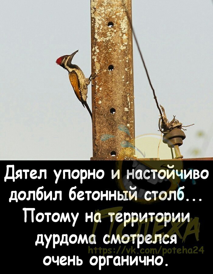  - 13  2023  12:40