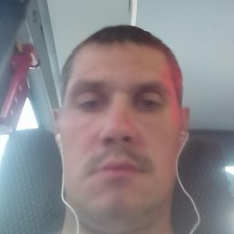 ����, ������, 41 ���