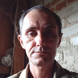 �������, ���������, 46 ���