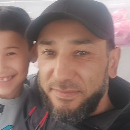 Sher, �����, 41 ���