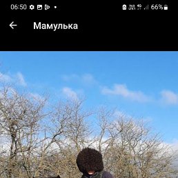 ���� ���������, ���������, 47 ��� - ��������� 24 ��� 2023