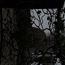  ***L***,   -  8  2023   ʻ