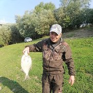 ����, 27 ���, ������