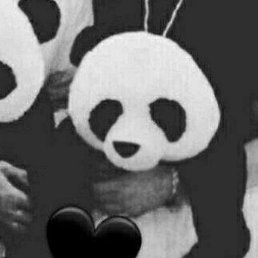 ����, ������, 37 ���