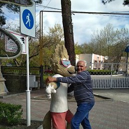 �������, ��������, 68 ���