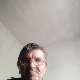 , 65,  
