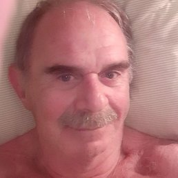 Steve, �����, 67 ���