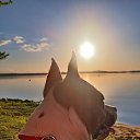 ���� �������, �����, 64 ���� - ��������� 8 ������� 2023 � ������ ���� ����������