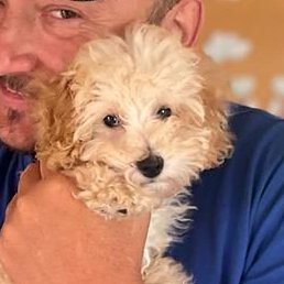 ��������, �������, 59 ���