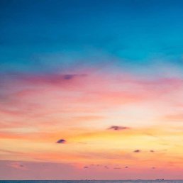 ���� ˸��, �������, 20 ��� - ��������� 28 ������� 2023