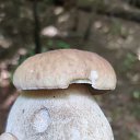 ���� ������, ���������, 50 ��� - ��������� 24 ���� 2023 � ������ ���� ����������