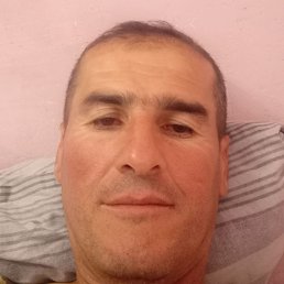 ����, ������, 46 ���