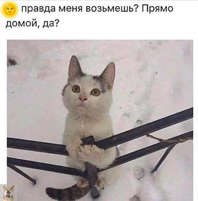  - 3  2023  13:34