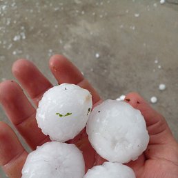 ���� ����, �����������, 26 ��� - ��������� 18 ������� 2023