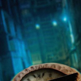 �������, �������, 40 ���