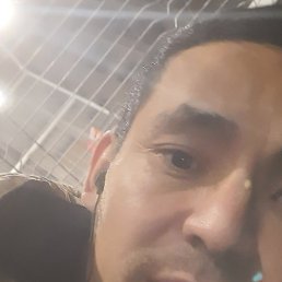 ����, ������, 37 ���